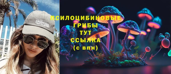 ECSTASY Алексин