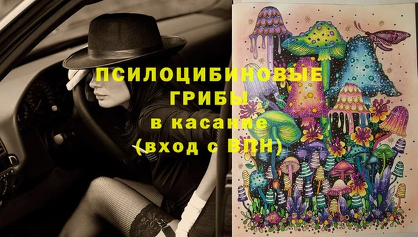 прущая мука Алзамай